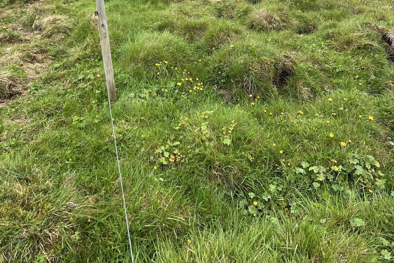 Lóð úr Marteinstungu