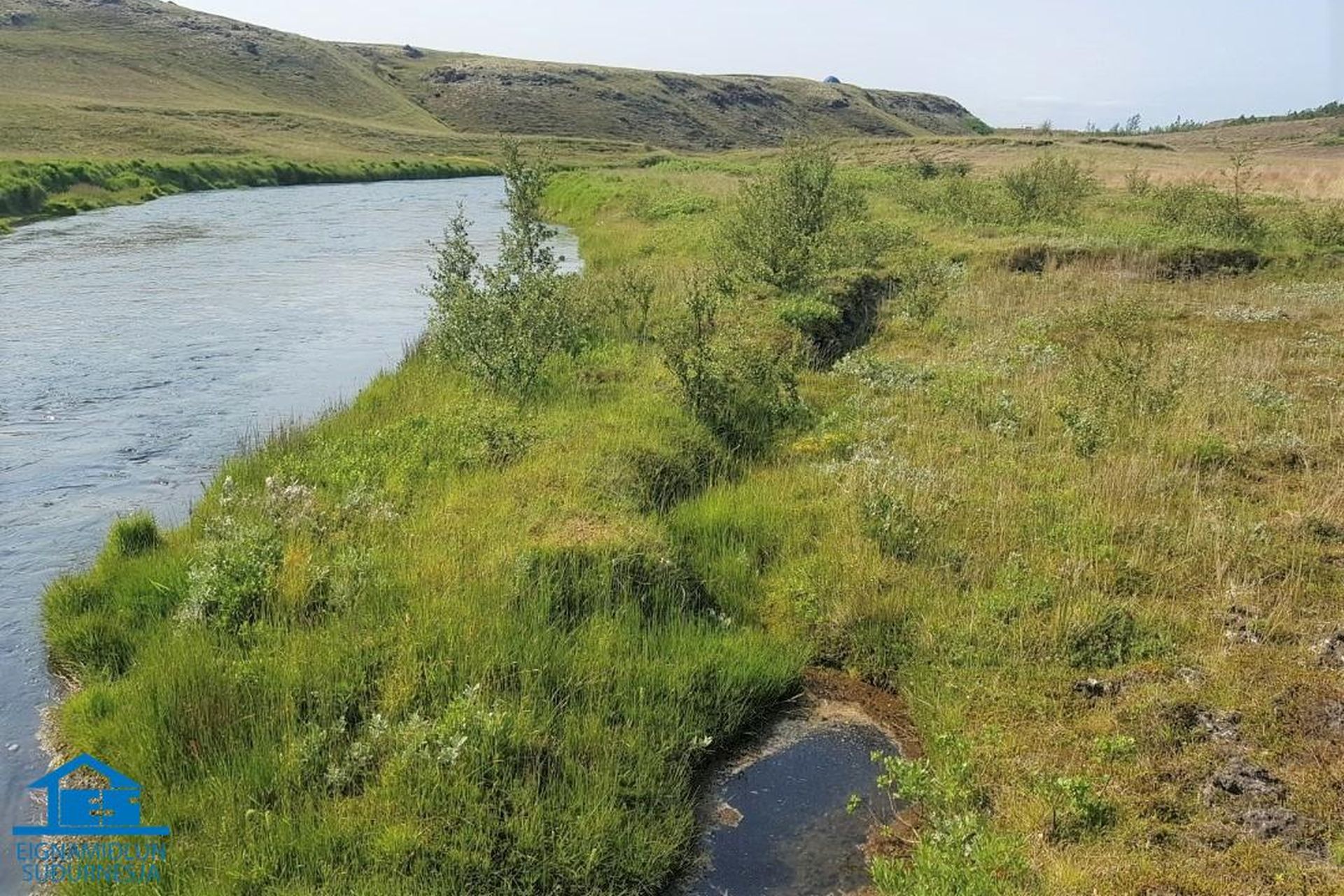 Svínhagi 19
