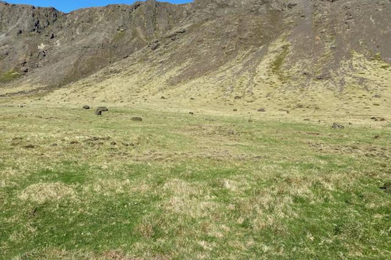 Hlíðartunga spilda
