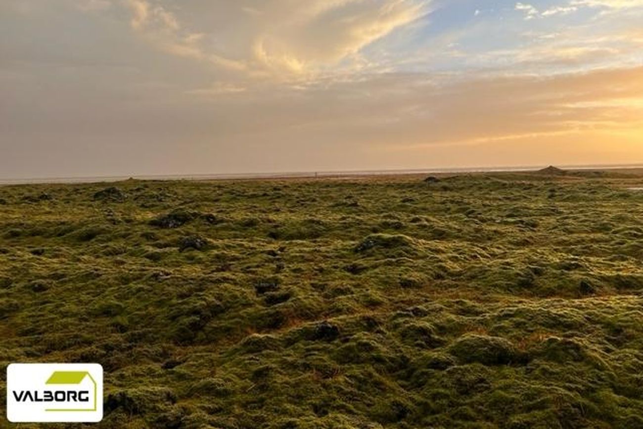 Eystri-Þurá 1 spilda