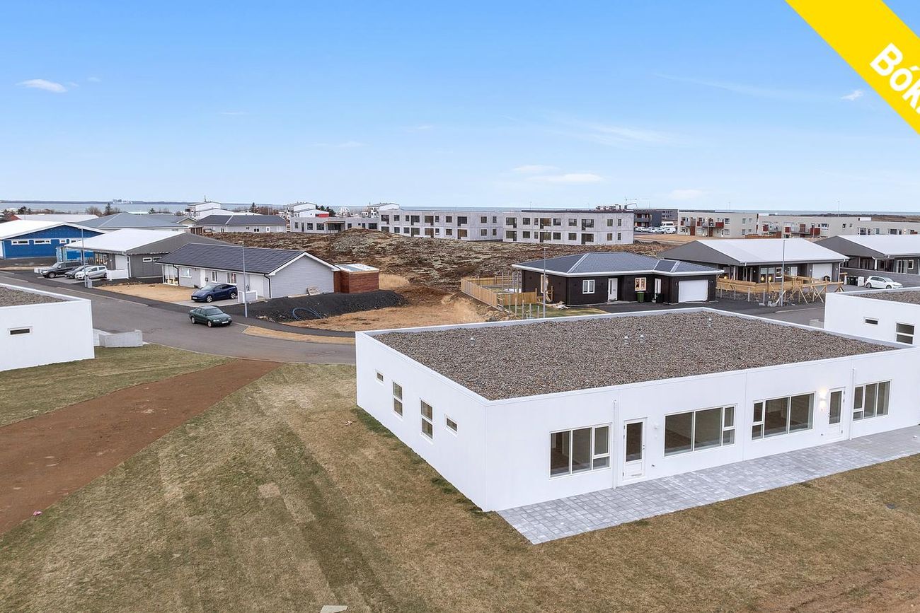 Lyngholt 11