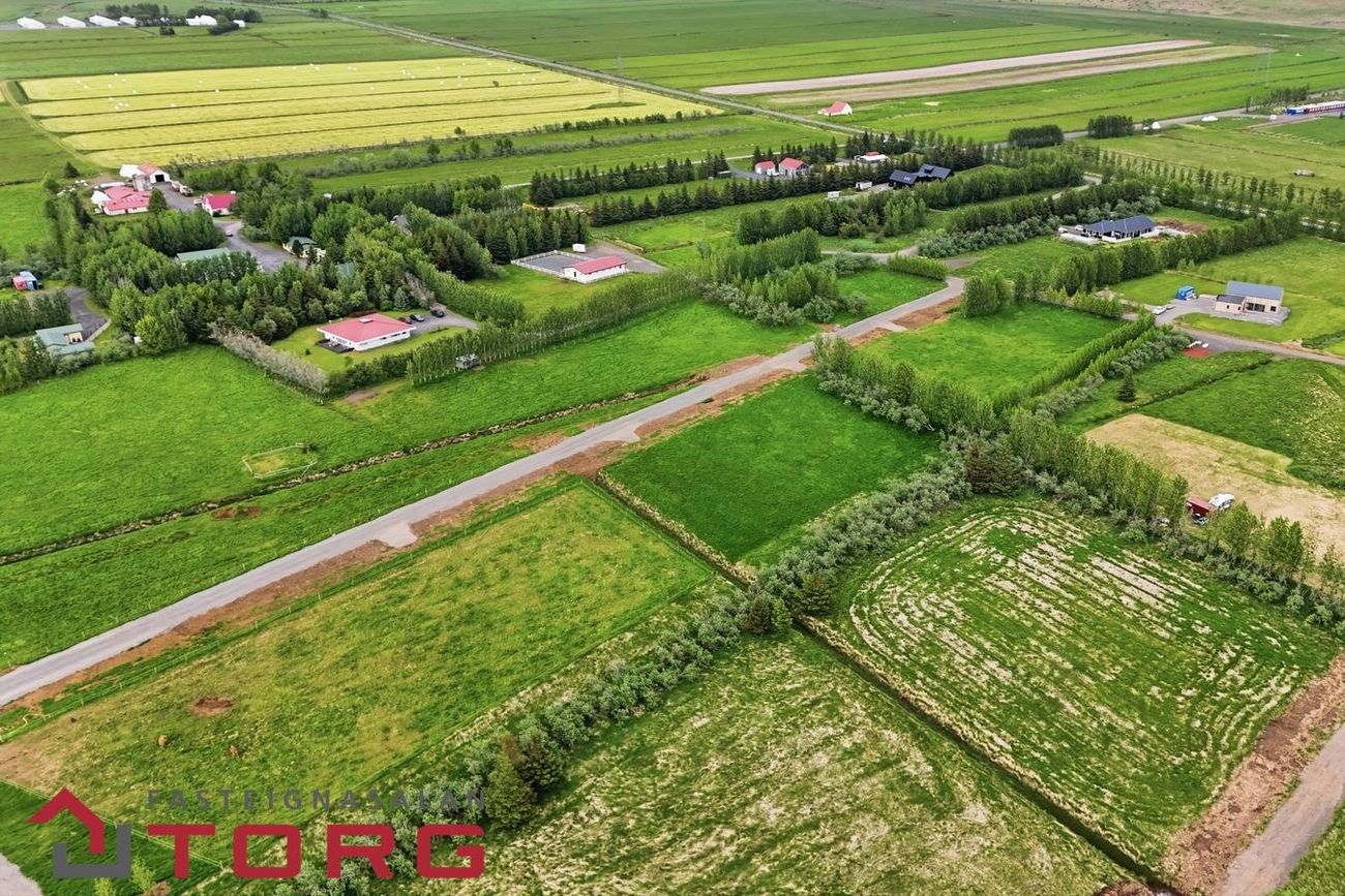 Birkiból 6