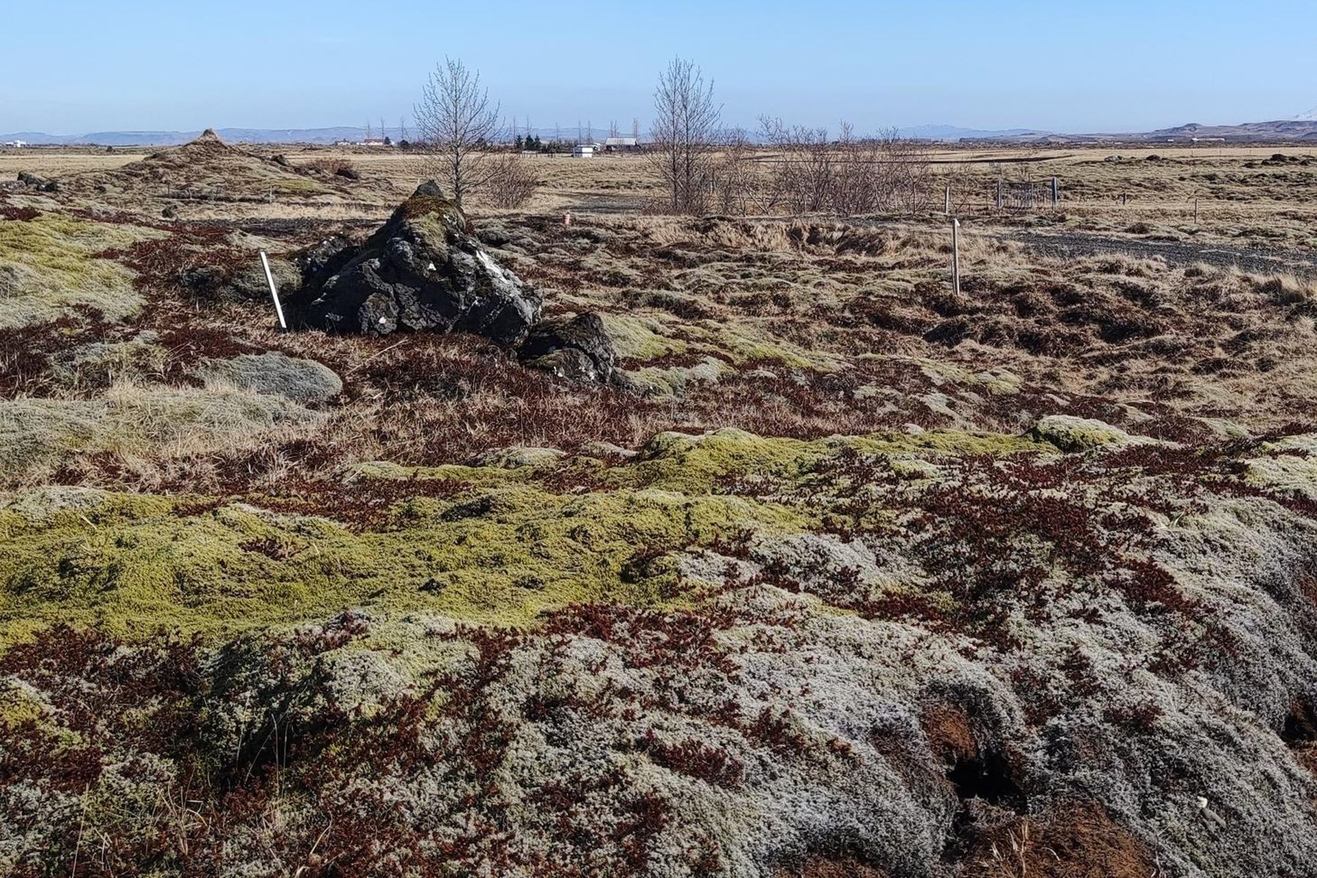 Krækishólar 10