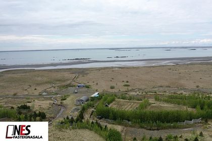 Hafnargerði