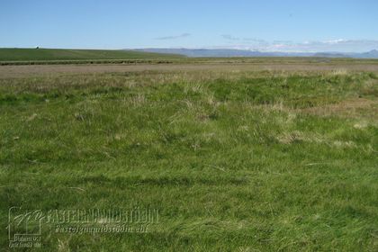 Ós Dalabyggð
