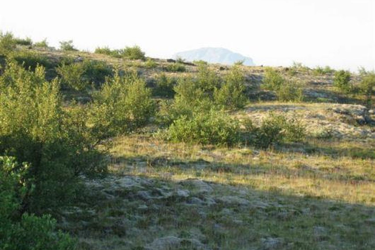 Leirubakki Fjallaland