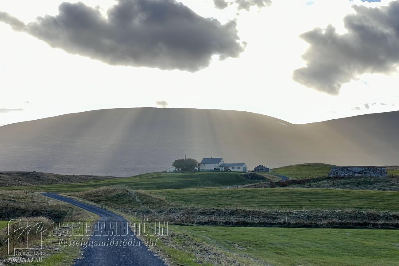 Nautabú Skagafirði