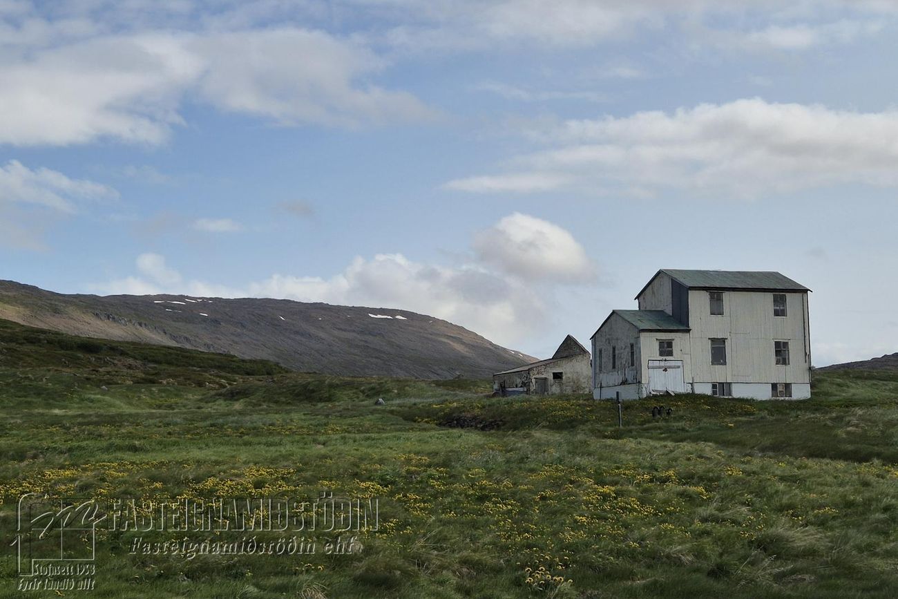 Rauðamýri Strandabyggð