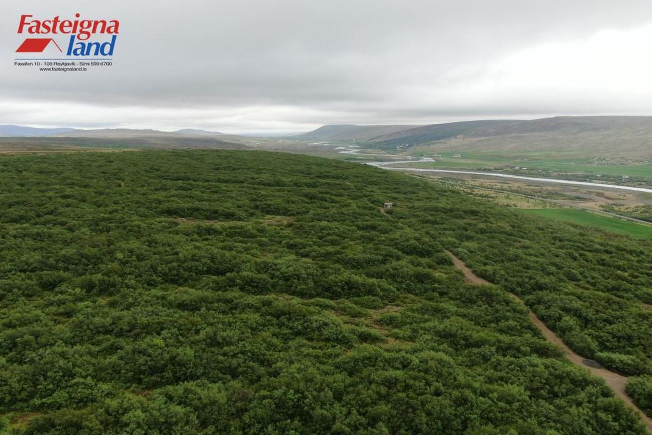 Brennubyggð 40