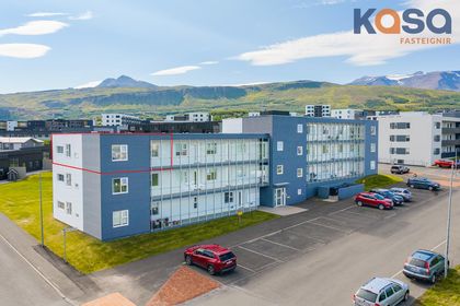 Davíðshagi 8 301