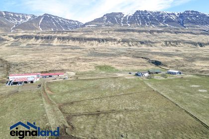 Miðsitja