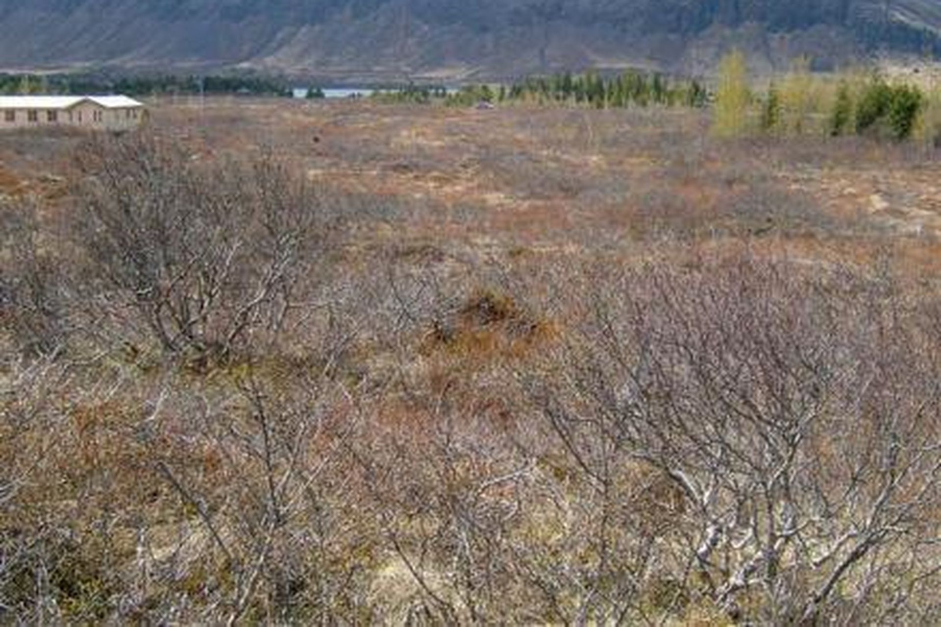 Sogsvegur 20 sumarhúsalóð