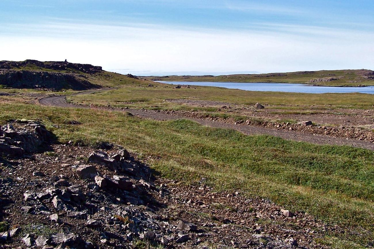 Dagverðarnessel