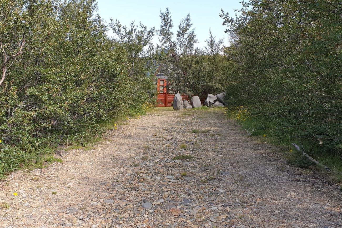 Oddaskógur 2
