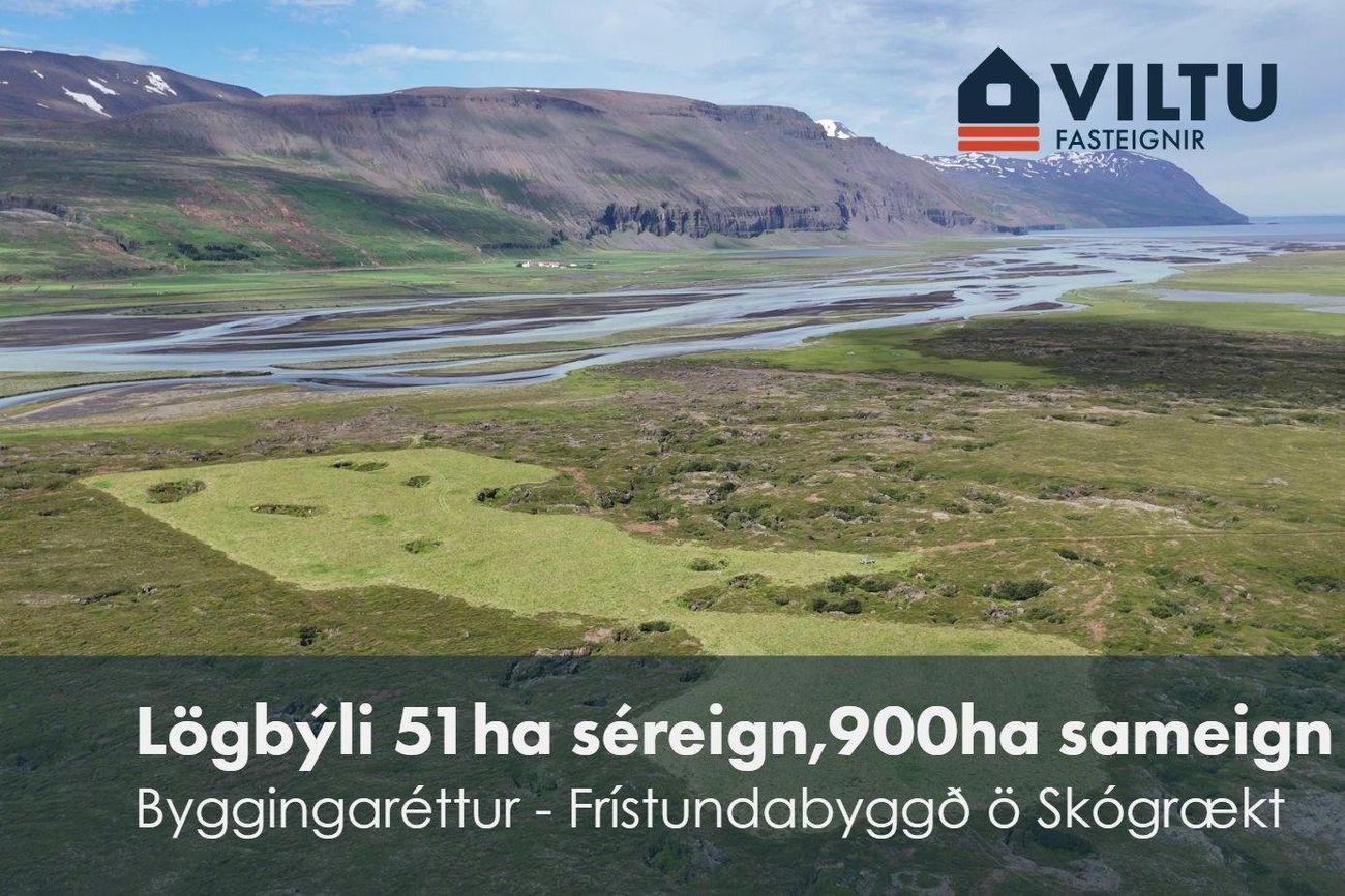 Sandur 4