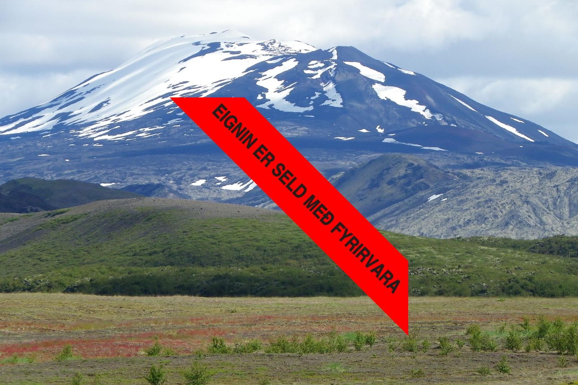 Svínhagi SH 9