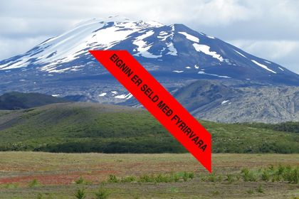 Svínhagi SH 9