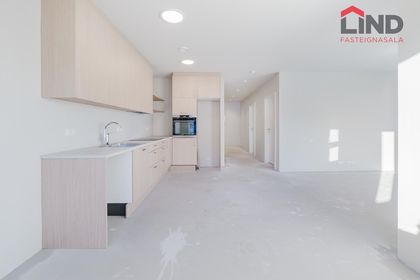 Hringhamar 33 Íb 201 Hlutdlán