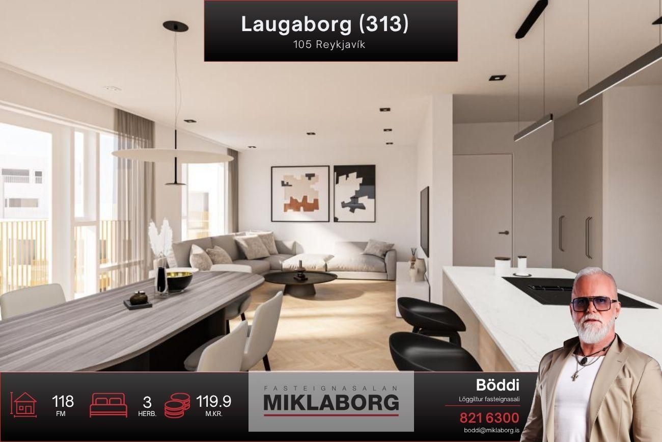 Laugaborg 313