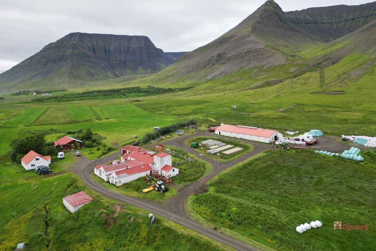 Vaðlar