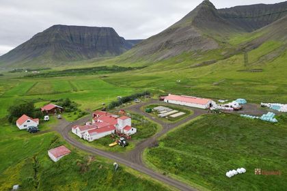 Vaðlar