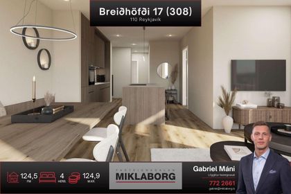 Breiðhöfði 17 (308)