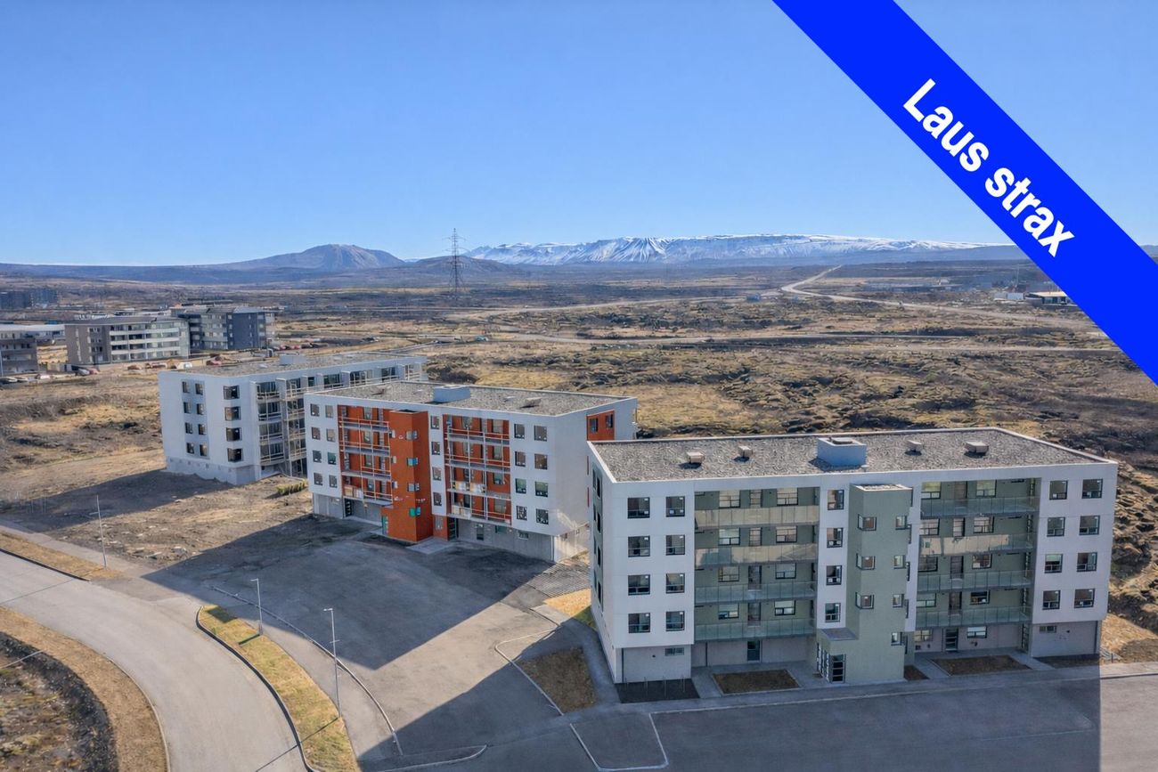 Suðurhella 14