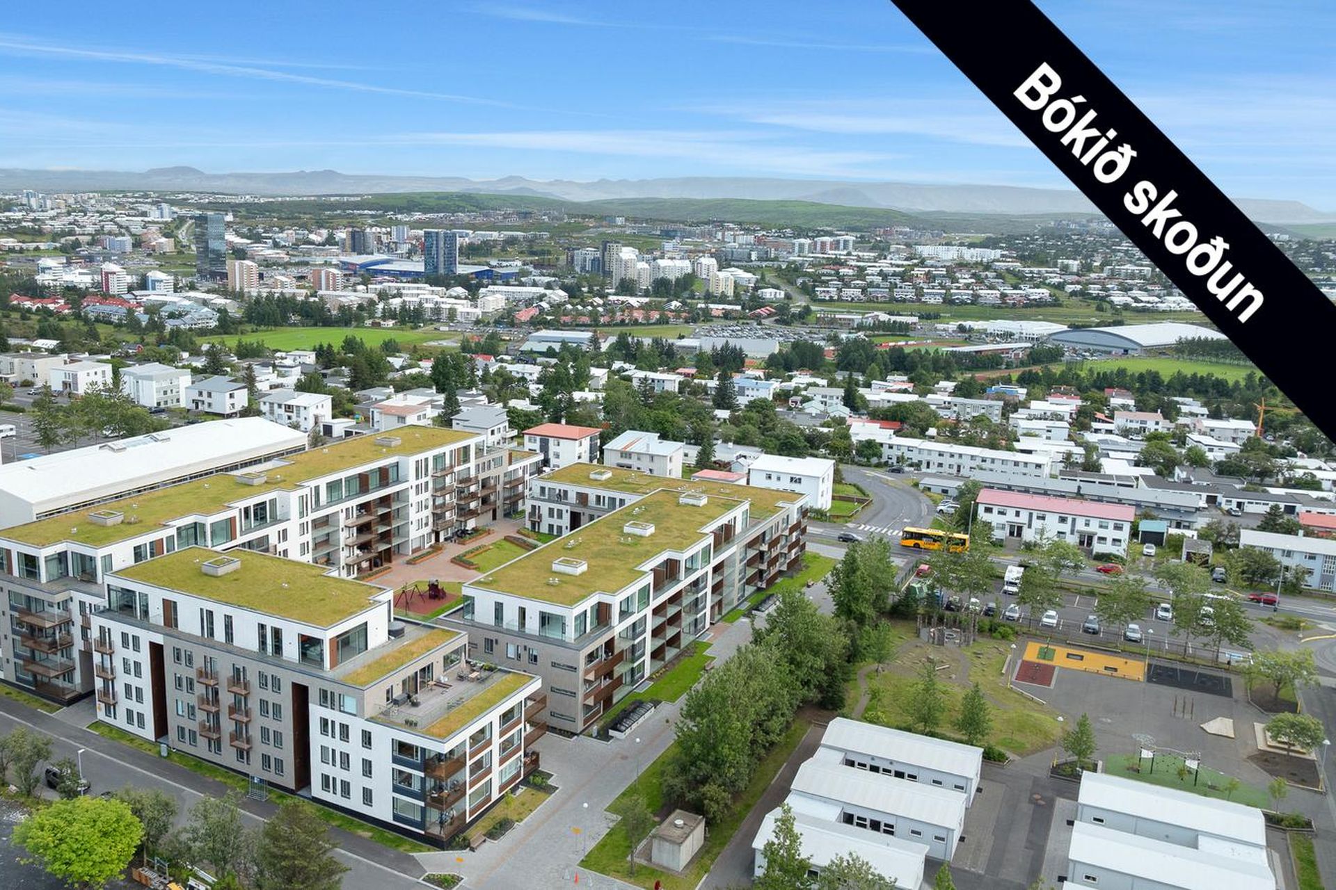 Skólatröð 6