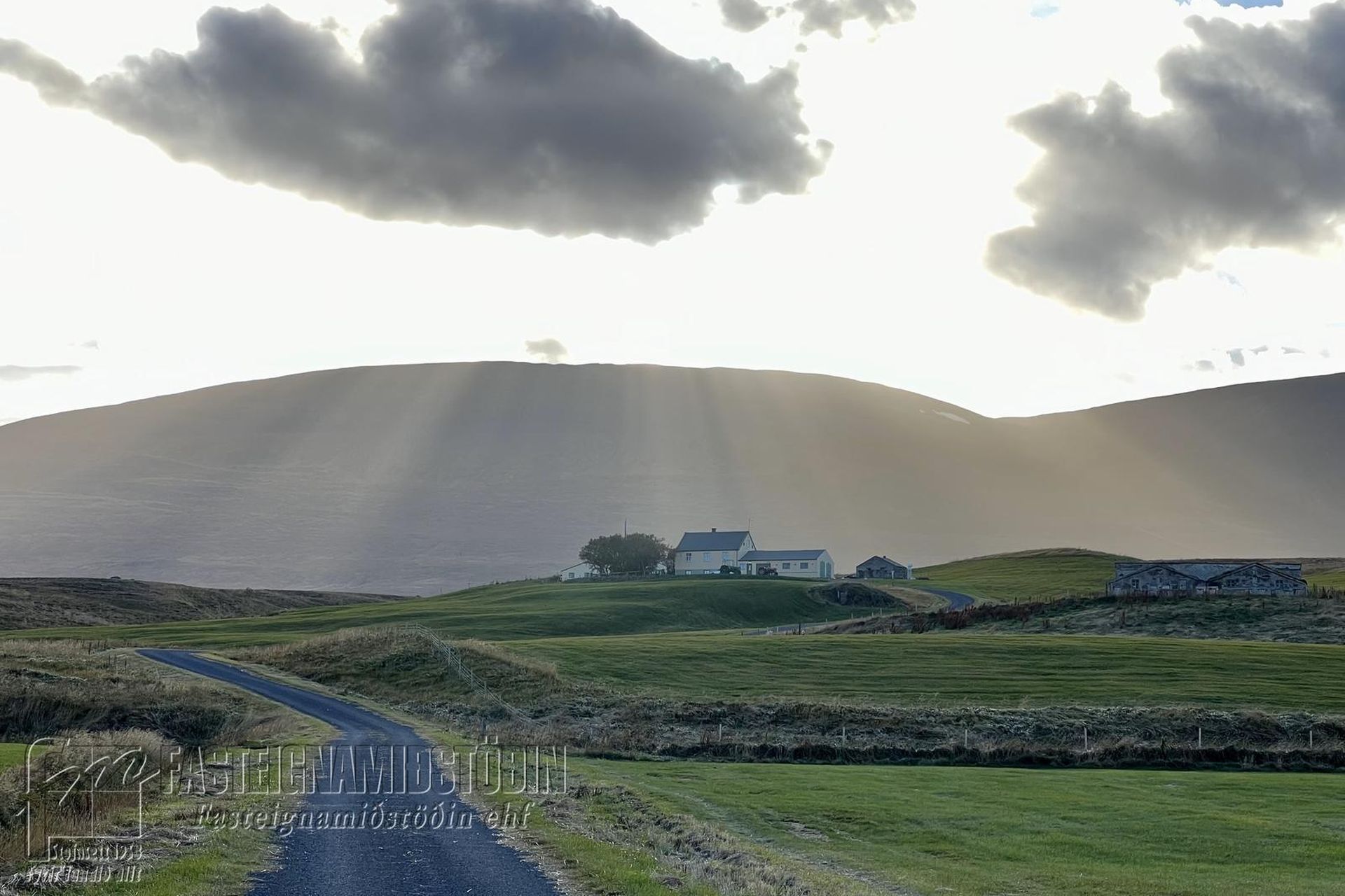 Nautabú Skagafirði