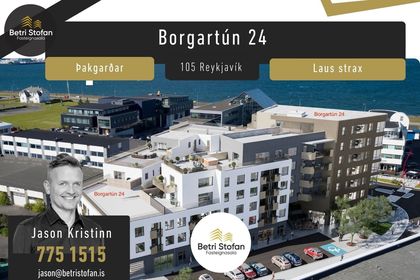 Borgartún 24A (310)