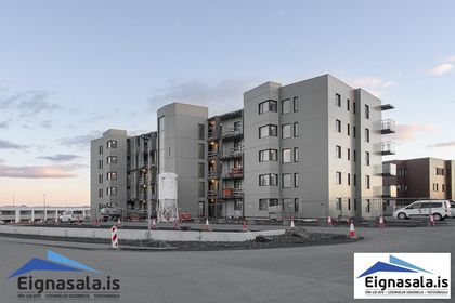 Asparlaut 1