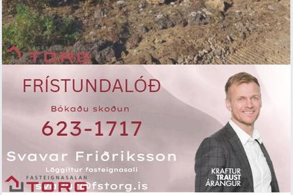 Höfuðból 301