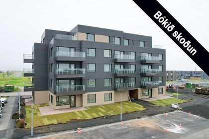 Hnjúkamói 9