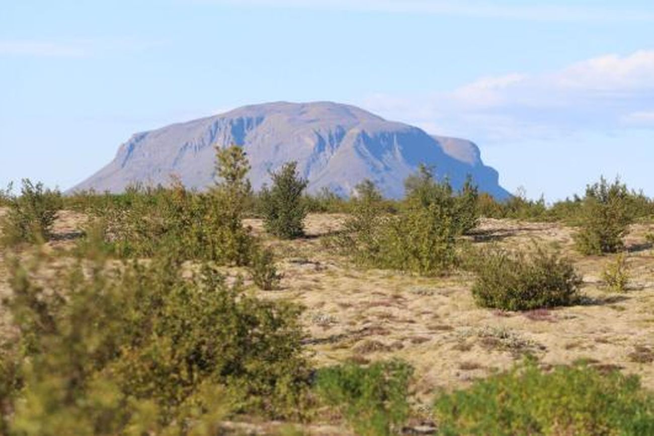 Hraunvegur (Sumarhúsalóð) 6