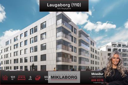 Laugaborg (110)