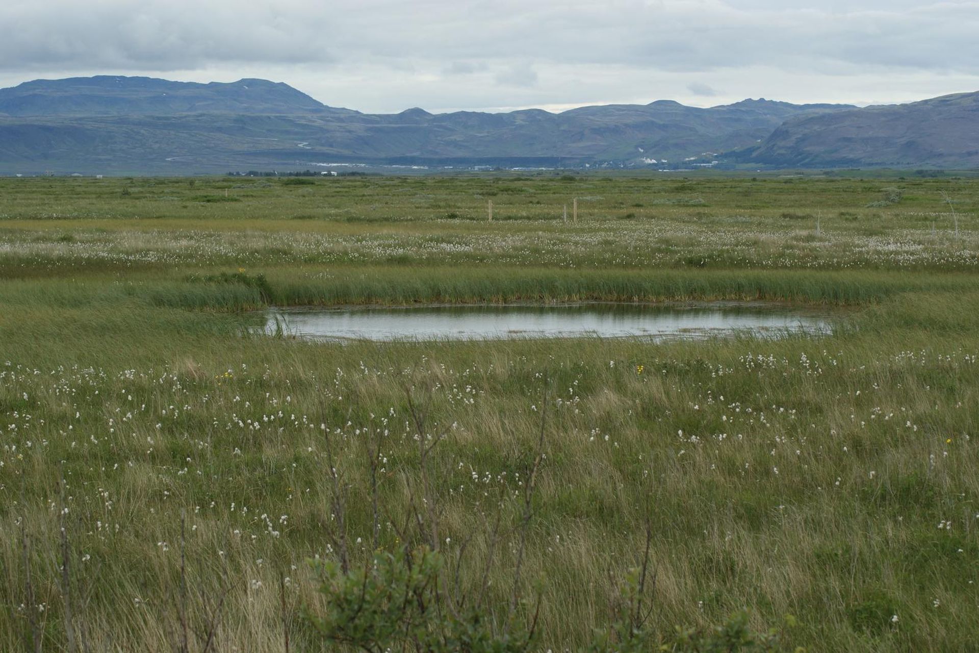 Suðurleið 30