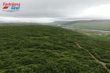 Brennubyggð 40