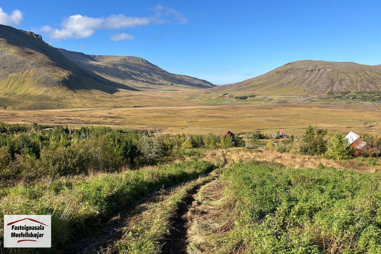 Hlíð 51