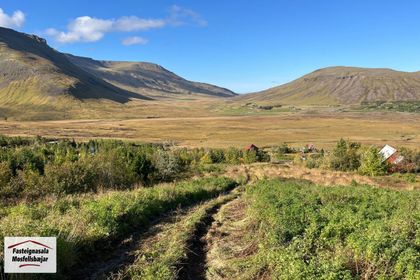 Hlíð 51