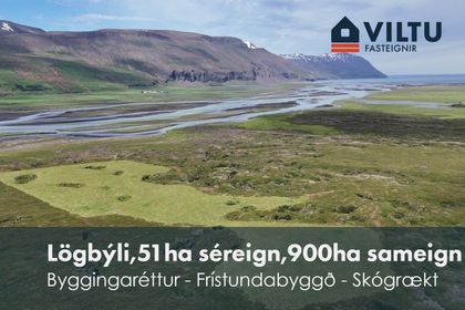 Sandur 4