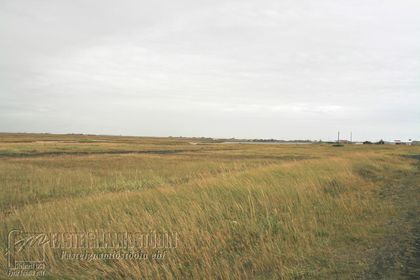 Syðra-Sel Stokkseyri Árborg