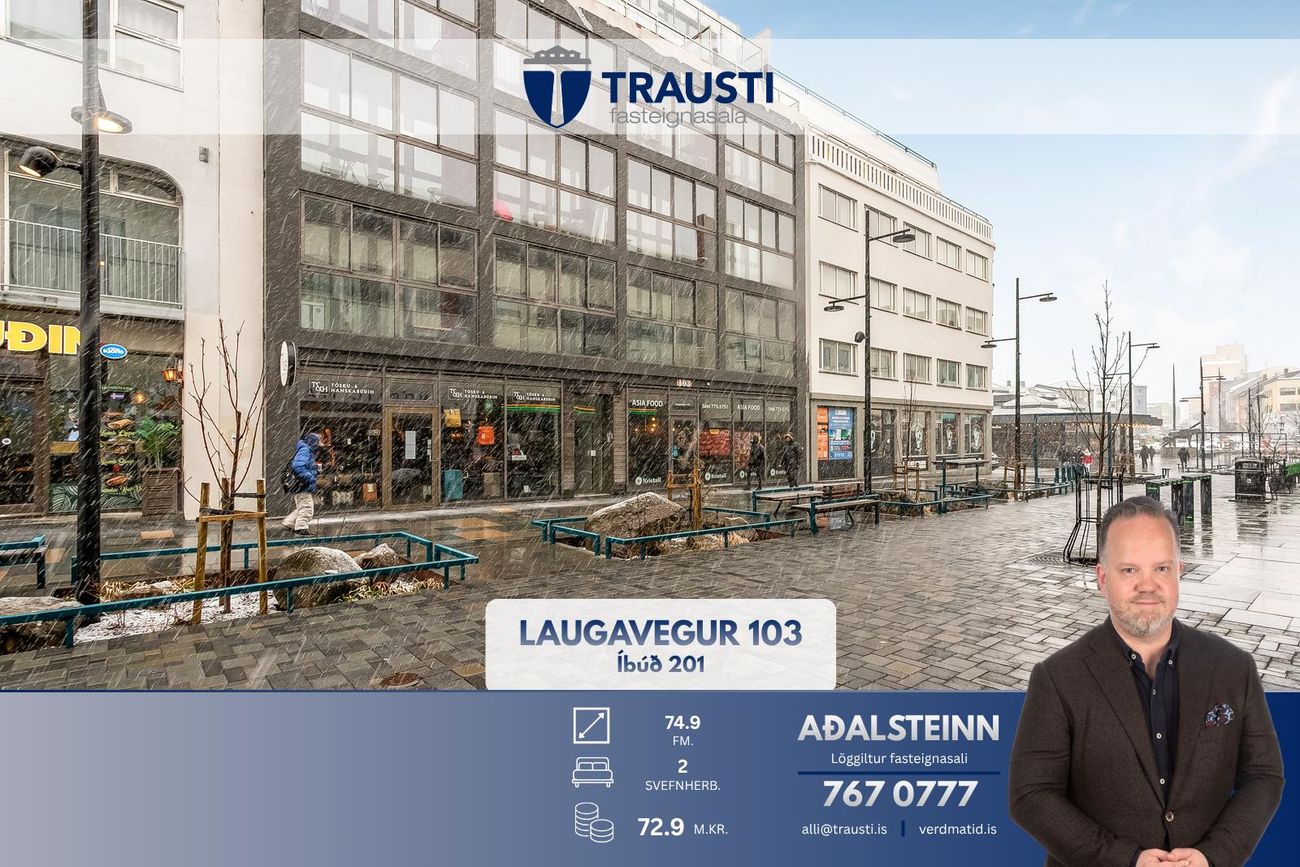 Laugavegur 103