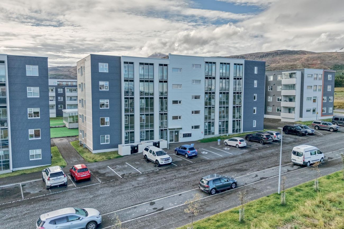 Davíðshagi 2 303