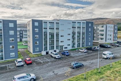 Davíðshagi 2 303