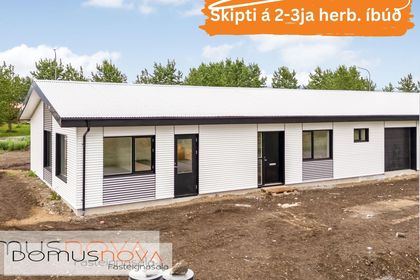 Lyngmelur 8
