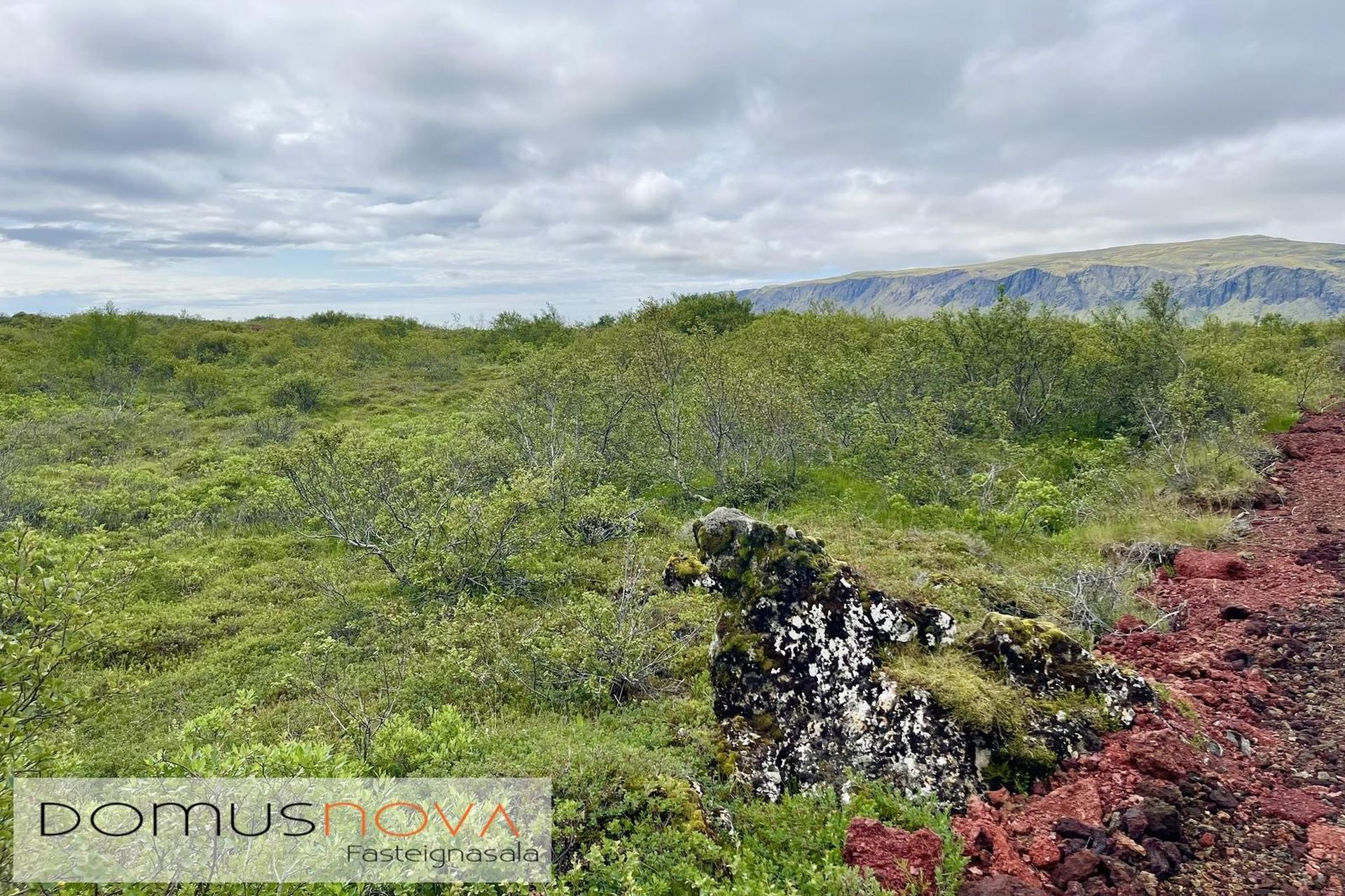Álfabyggð 8