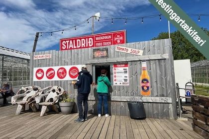 Víðigerði 0