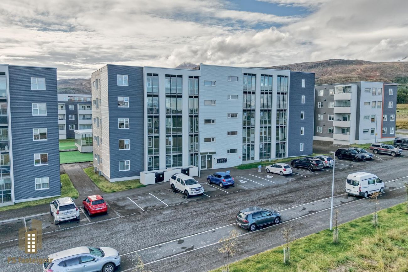 Davíðshagi 2 303