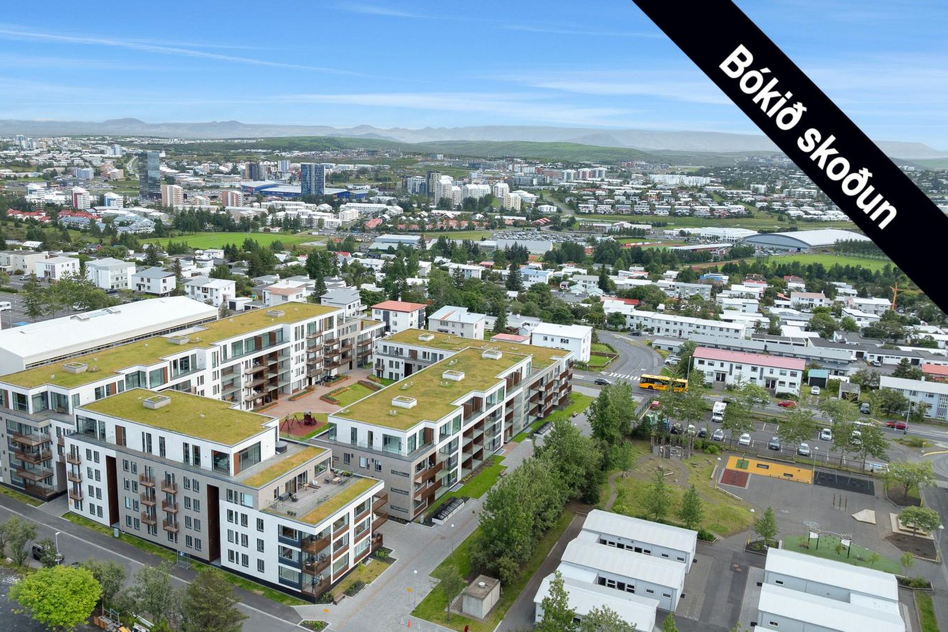 Skólatröð 6