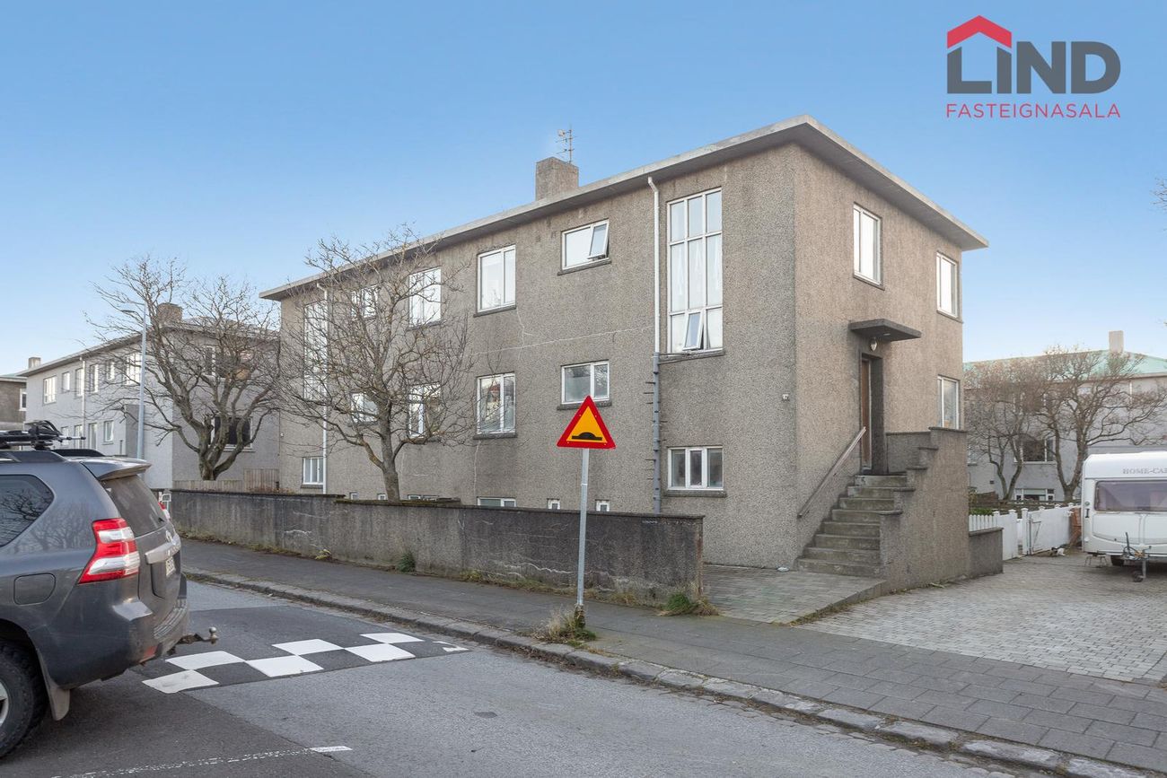 Víðimelur 47
